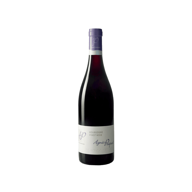 Bourgogne Pinot Noir