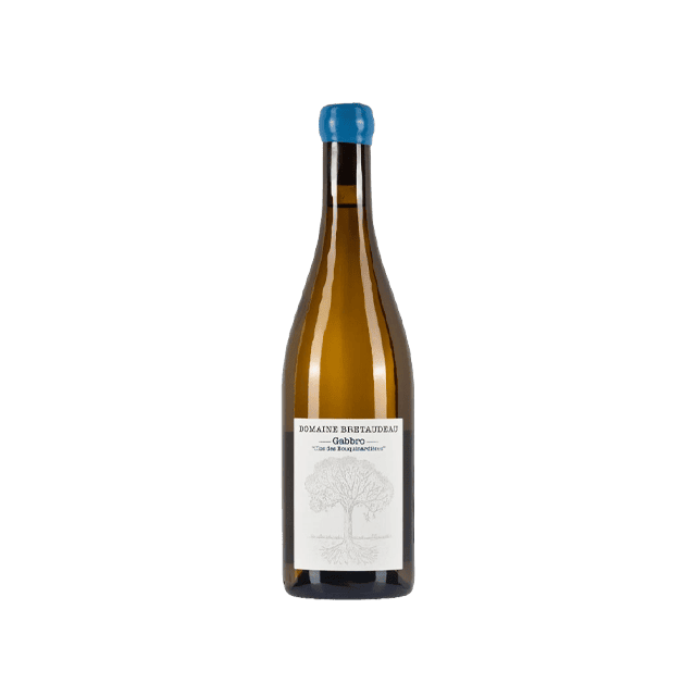Muscadet Gabbro Clos des Bouquinardieres