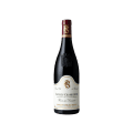 Gevrey-Chambertin Terroir Domaine