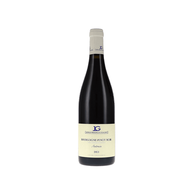 Bourgogne Rouge Antonin