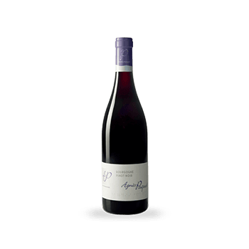 Bourgogne Pinot Noir