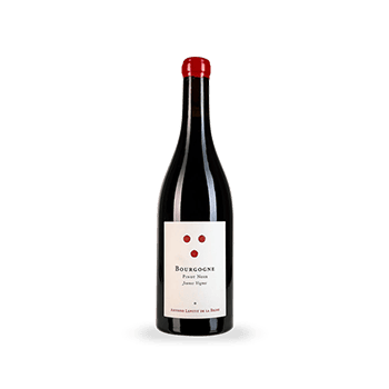 Bourgogne Pinot Noir Jeunes Vignes