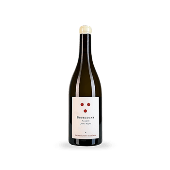 Bourgogne Aligoté Jeunes Vignes