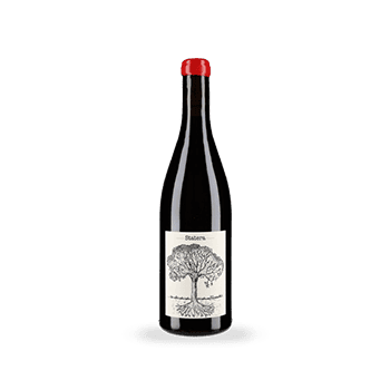 Statera Pinot Noir