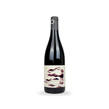 Nuits Saint Georges Les Tuyaux