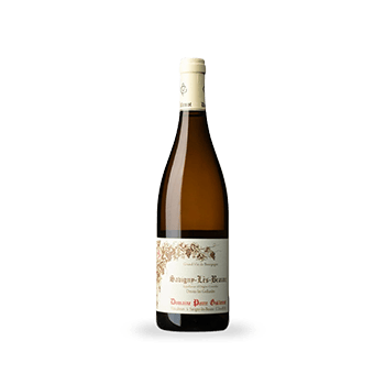 Savigny-lès-Beaune Dessus les Gollardes Blanc