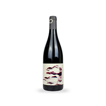 Ladoix 1er Cru Les Joyeuses