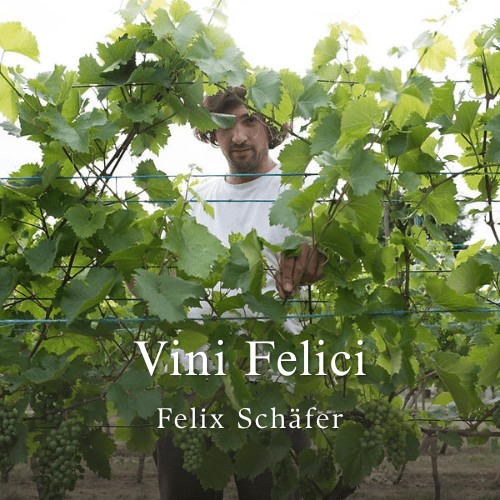 Vini Felici