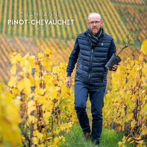 Pinot-Chevauchet