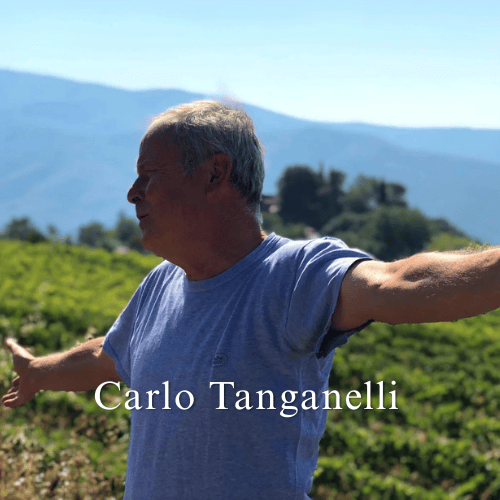 Carlo Tanganelli