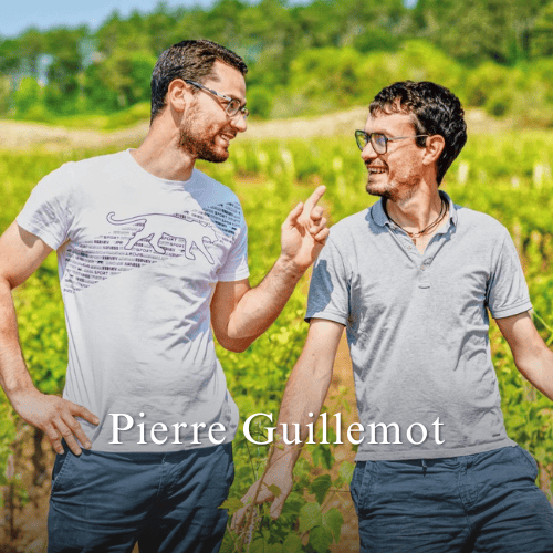 Pierre Guillemot