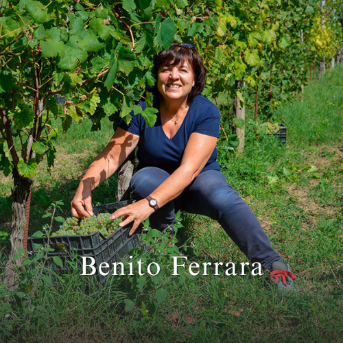 Benito Ferrara