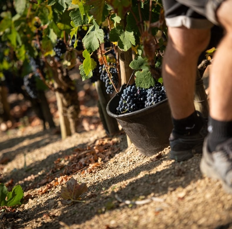 Domaine du Monteillet