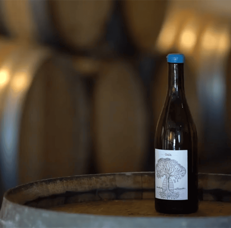 Domaine Bretaudeau
