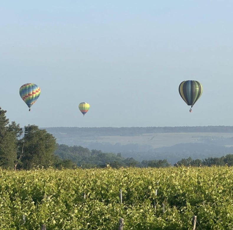 Domaine Joel Delaunay
