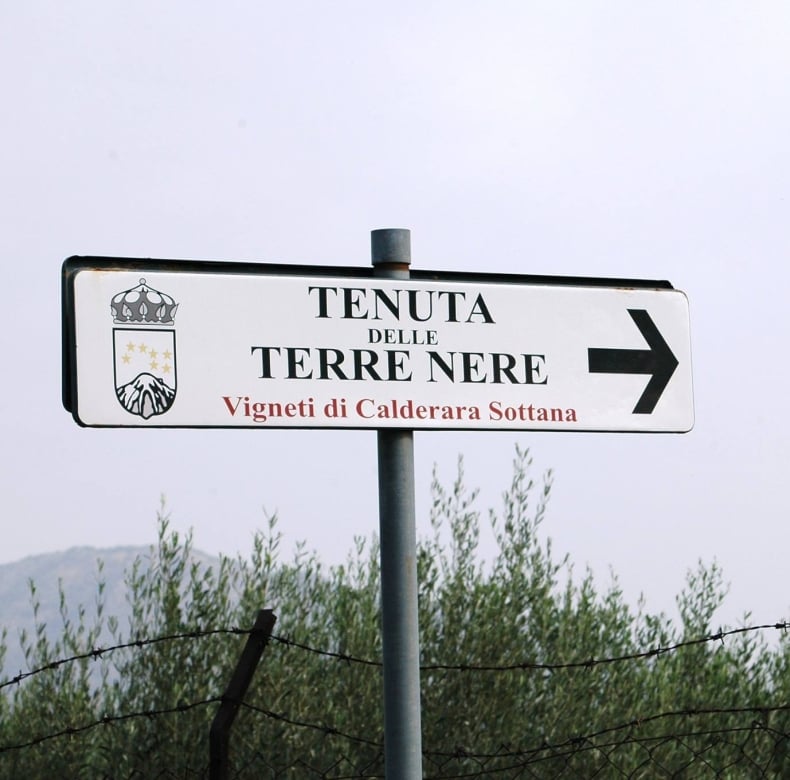 Tenuta delle Terre Nere