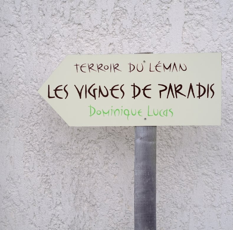 Les Vignes de Paradis