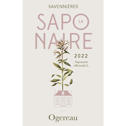 Savennières La Saponaire