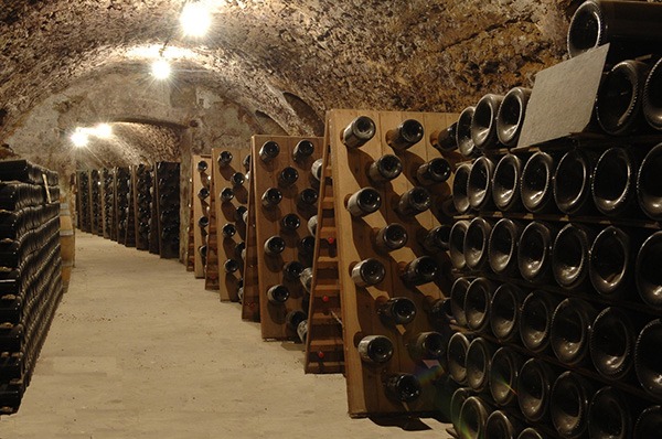 Pinot-Chevauchet (1)
