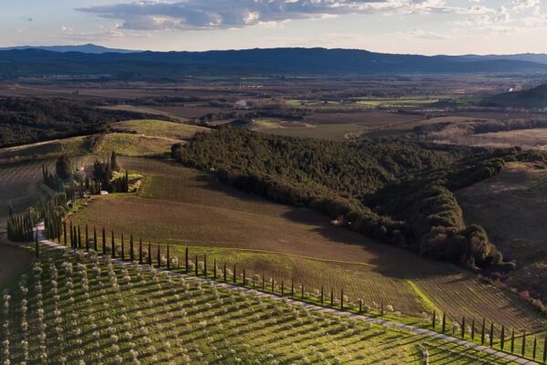 Cupano (1) Cupano (1)